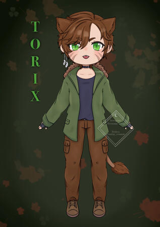 Torix2D